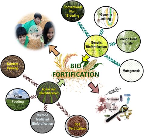 swcup6 com login register|Inoculation of Zaopei with biofortification: Inducing variation in .